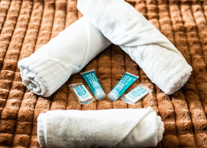 公寓 L'industriel - Proche Hopital - Parking - Balcon 图尔